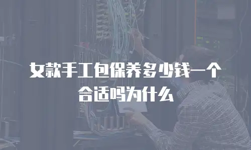 女款手工包保养多少钱一个合适吗为什么