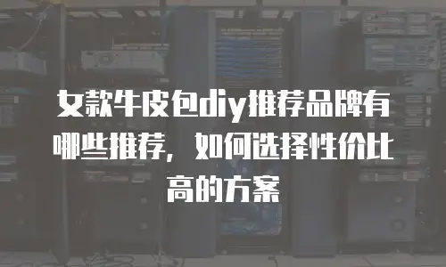 女款牛皮包diy推荐品牌有哪些推荐，如何选择性价比高的方案
