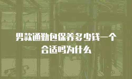 男款通勤包保养多少钱一个合适吗为什么