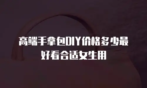 高端手拿包DIY价格多少最好看合适女生用