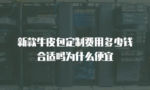 新款牛皮包定制费用多少钱合适吗为什么便宜
