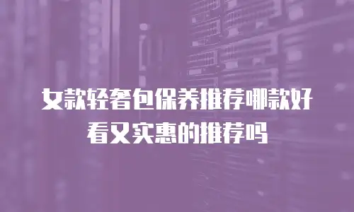 女款轻奢包保养推荐哪款好看又实惠的推荐吗