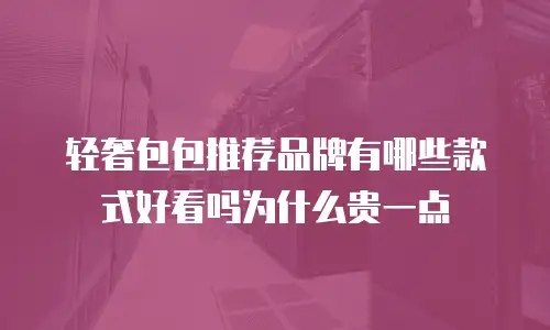 轻奢包包推荐品牌有哪些款式好看吗为什么贵一点