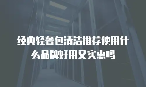 经典轻奢包清洁推荐使用什么品牌好用又实惠吗