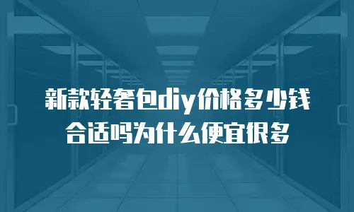 新款轻奢包diy价格多少钱合适吗为什么便宜很多