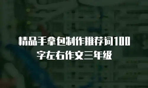 精品手拿包制作推荐词100字左右作文三年级