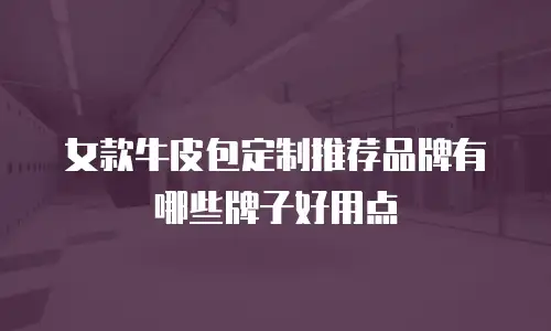女款牛皮包定制推荐品牌有哪些牌子好用点