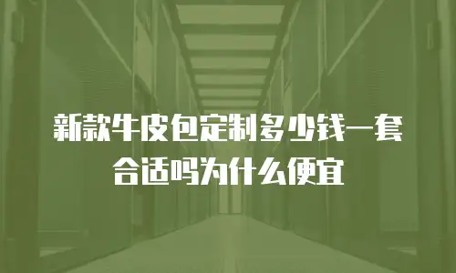 新款牛皮包定制多少钱一套合适吗为什么便宜