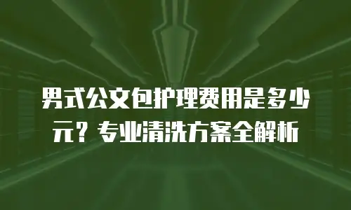 男式公文包护理费用是多少元？专业清洗方案全解析