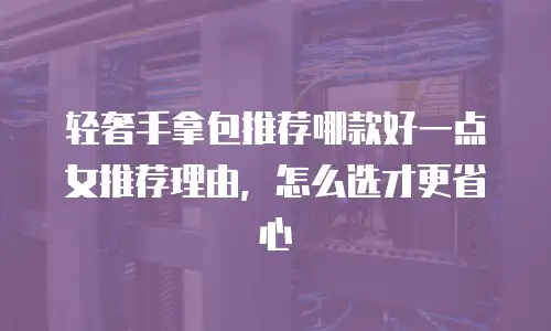 轻奢手拿包推荐哪款好一点女推荐理由，怎么选才更省心