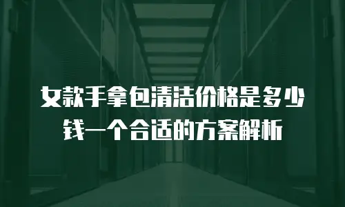 女款手拿包清洁价格是多少钱一个合适的方案解析