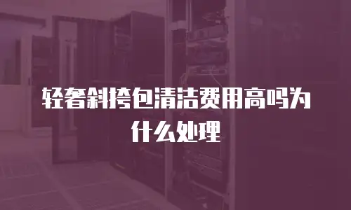 轻奢斜挎包清洁费用高吗为什么处理