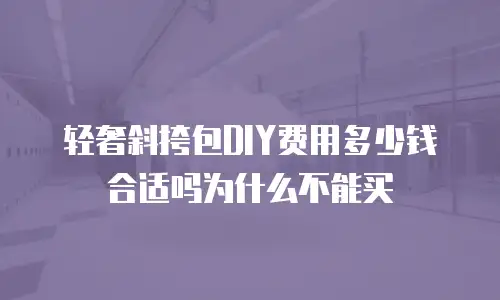 轻奢斜挎包DIY费用多少钱合适吗为什么不能买