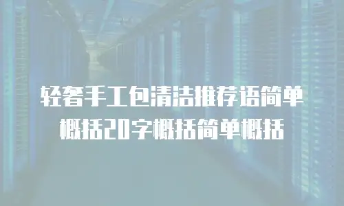 轻奢手工包清洁推荐语简单概括20字概括简单概括