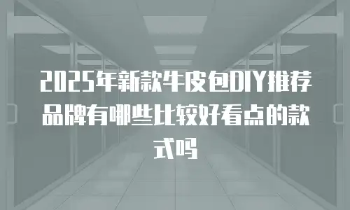 2025年新款牛皮包DIY推荐品牌有哪些比较好看点的款式吗
