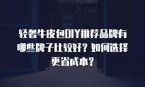 轻奢牛皮包DIY推荐品牌有哪些牌子比较好？如何选择更省成本？