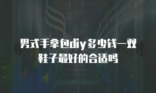 男式手拿包diy多少钱一双鞋子最好的合适吗