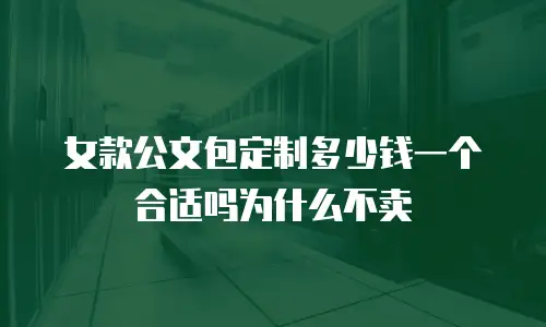 女款公文包定制多少钱一个合适吗为什么不卖