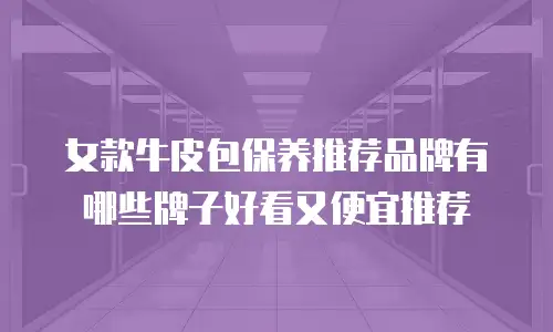 女款牛皮包保养推荐品牌有哪些牌子好看又便宜推荐