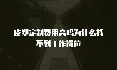 皮塑定制费用高吗为什么找不到工作岗位
