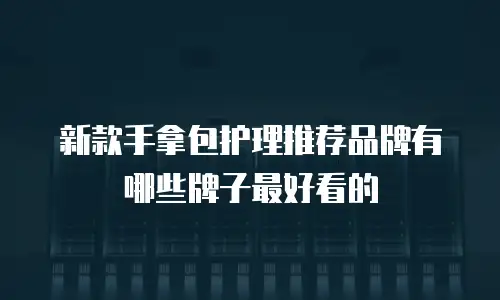 新款手拿包护理推荐品牌有哪些牌子最好看的