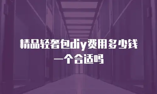 精品轻奢包diy费用多少钱一个合适吗