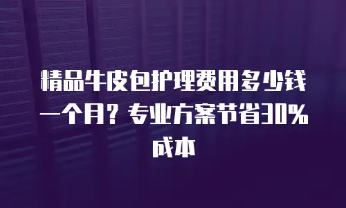 精品牛皮包护理费用多少钱一个月？专业方案节省30%成本