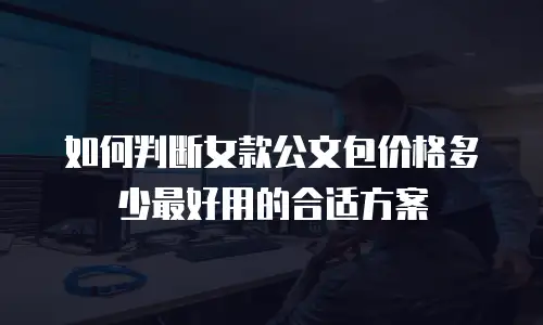 如何判断女款公文包价格多少最好用的合适方案