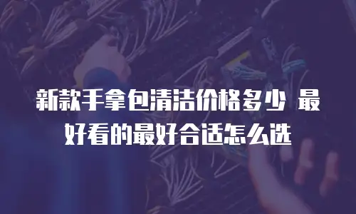 新款手拿包清洁价格多少 最好看的最好合适怎么选