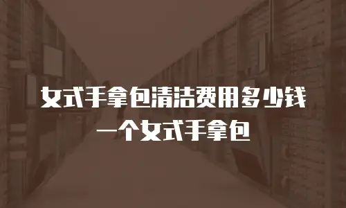 女式手拿包清洁费用多少钱一个女式手拿包