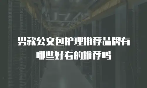 男款公文包护理推荐品牌有哪些好看的推荐吗