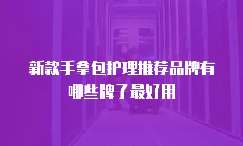 新款手拿包护理推荐品牌有哪些牌子最好用