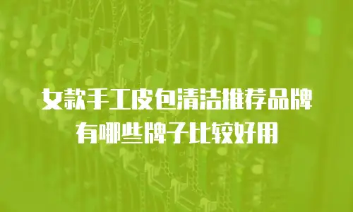 女款手工皮包清洁推荐品牌有哪些牌子比较好用