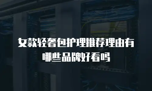 女款轻奢包护理推荐理由有哪些品牌好看吗