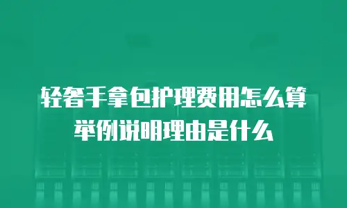 轻奢手拿包护理费用怎么算举例说明理由是什么