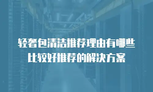 轻奢包清洁推荐理由有哪些比较好推荐的解决方案