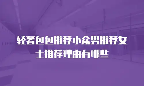 轻奢包包推荐小众男推荐女士推荐理由有哪些