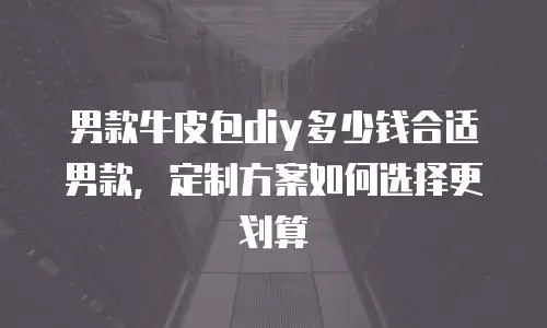 男款牛皮包diy多少钱合适男款，定制方案如何选择更划算