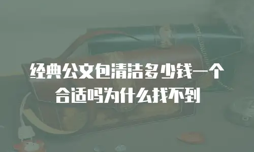 经典公文包清洁多少钱一个合适吗为什么找不到
