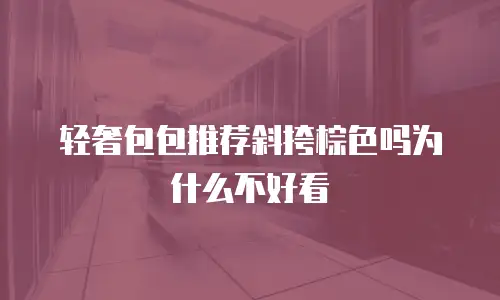 轻奢包包推荐斜挎棕色吗为什么不好看
