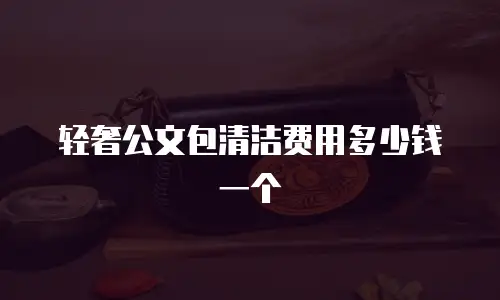 轻奢公文包清洁费用多少钱一个