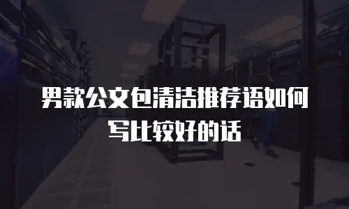 男款公文包清洁推荐语如何写比较好的话