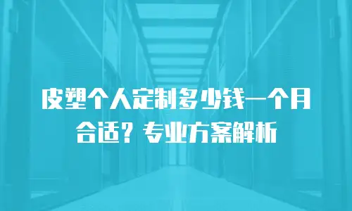 皮塑个人定制多少钱一个月合适？专业方案解析