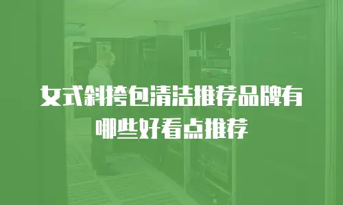 女式斜挎包清洁推荐品牌有哪些好看点推荐