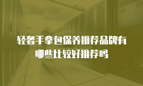 轻奢手拿包保养推荐品牌有哪些比较好推荐吗