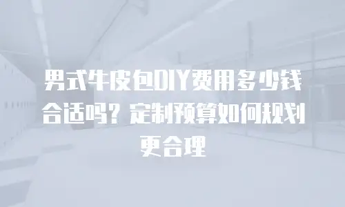 男式牛皮包DIY费用多少钱合适吗？定制预算如何规划更合理