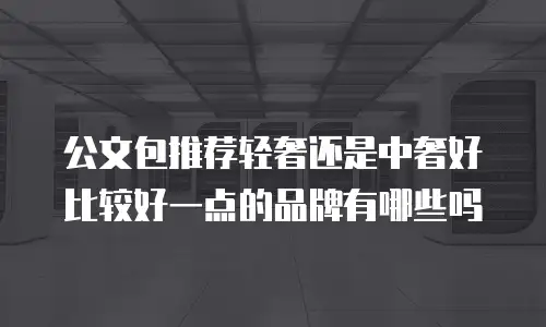 公文包推荐轻奢还是中奢好比较好一点的品牌有哪些吗