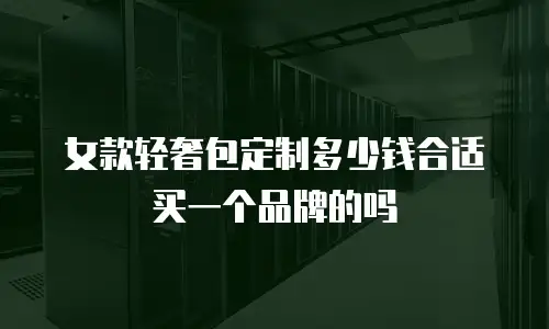 女款轻奢包定制多少钱合适买一个品牌的吗