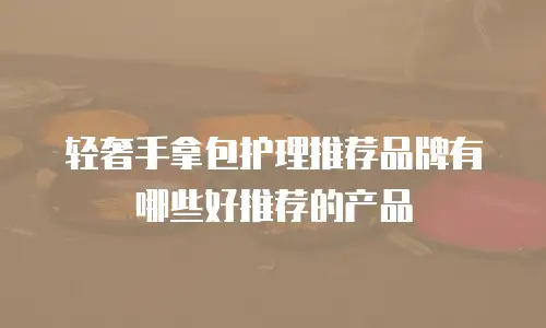 轻奢手拿包护理推荐品牌有哪些好推荐的产品
