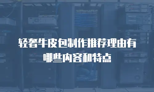 轻奢牛皮包制作推荐理由有哪些内容和特点